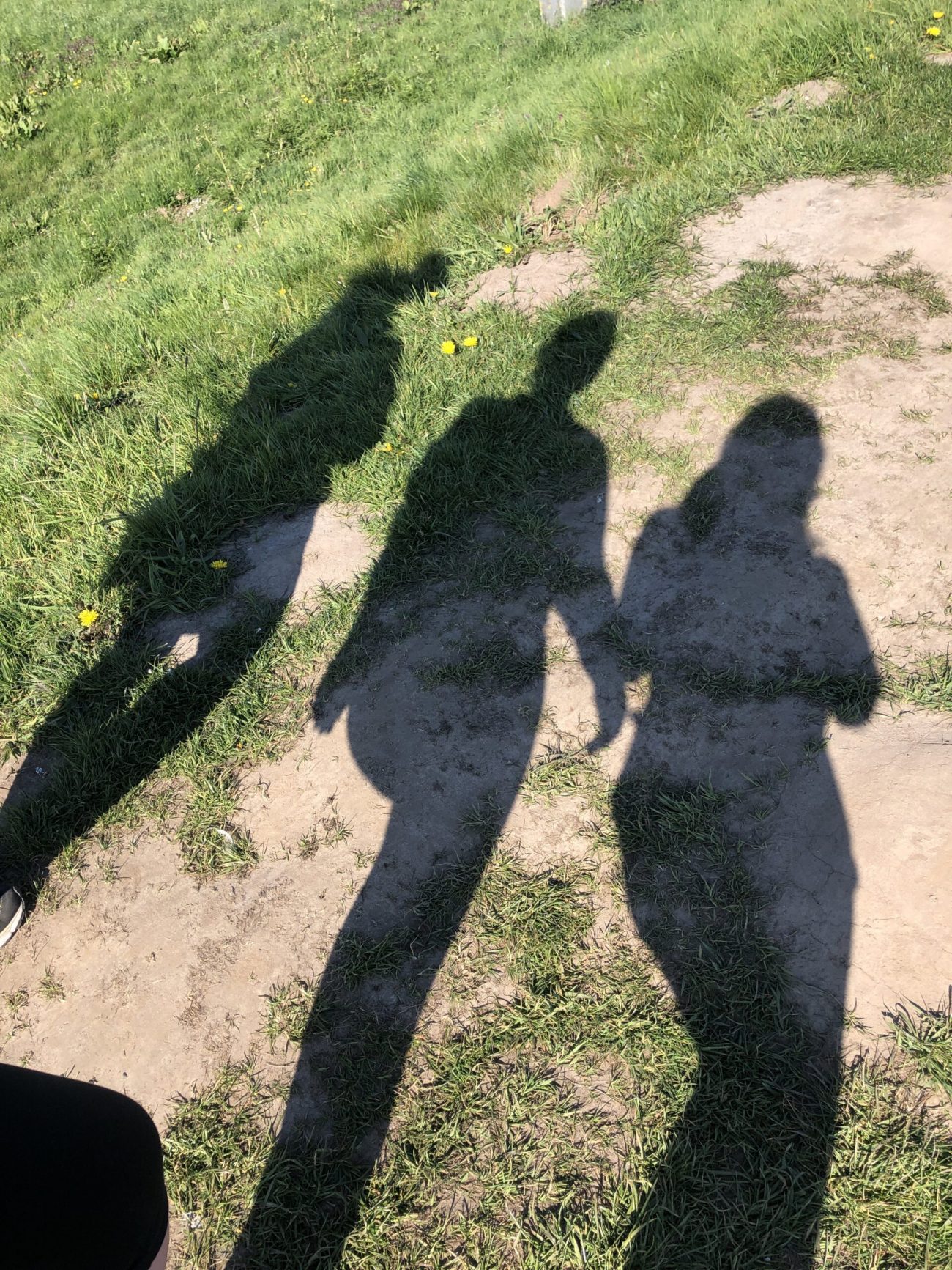IMG_0226 2